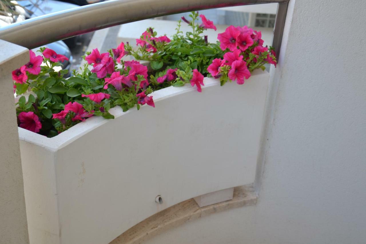 Porto Nuovo Holiday Home Monopoli Bagian luar foto